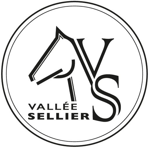 cropped-cropped-ico-logo-vallee-sellier.gif